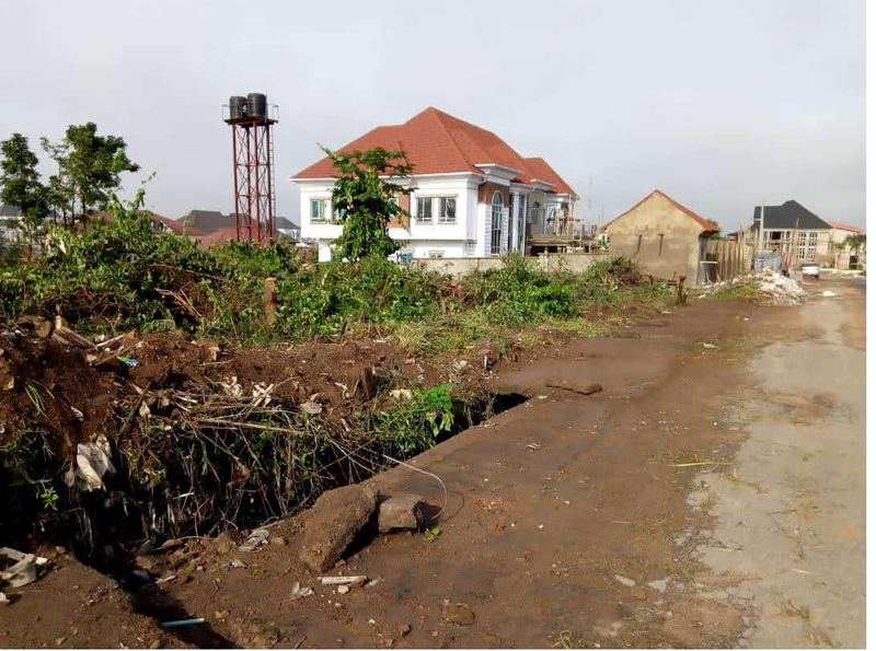 Site setting and access road